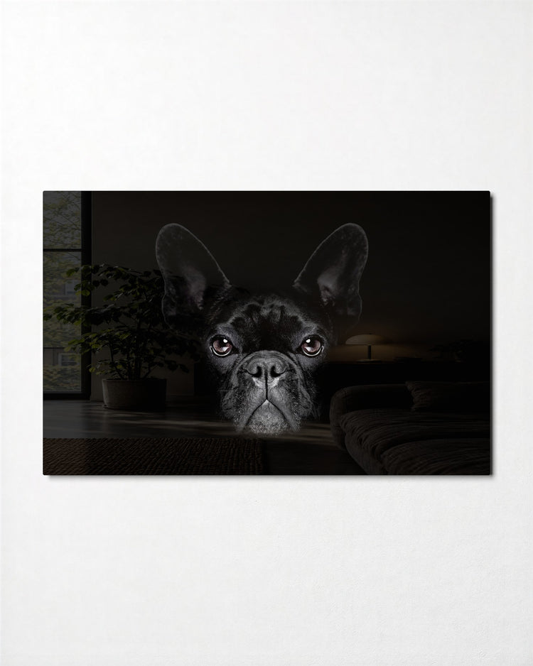 French Bulldog in the Dark glass wall art, front view