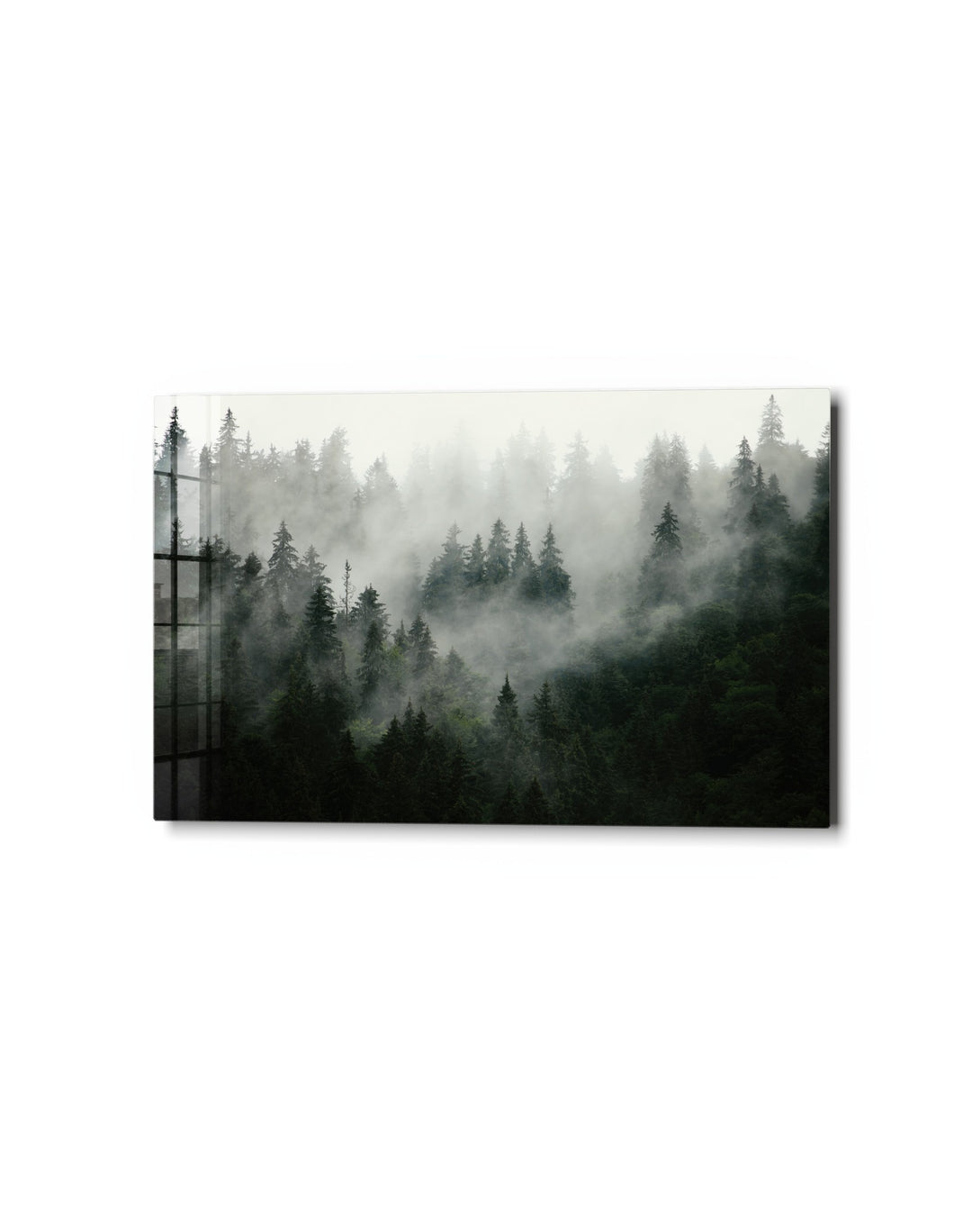 Pines in the Fog glass wall art, studio view