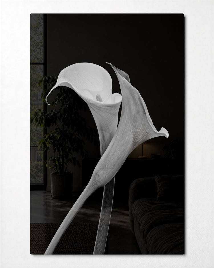 White Calla Lily glass wall art, front view