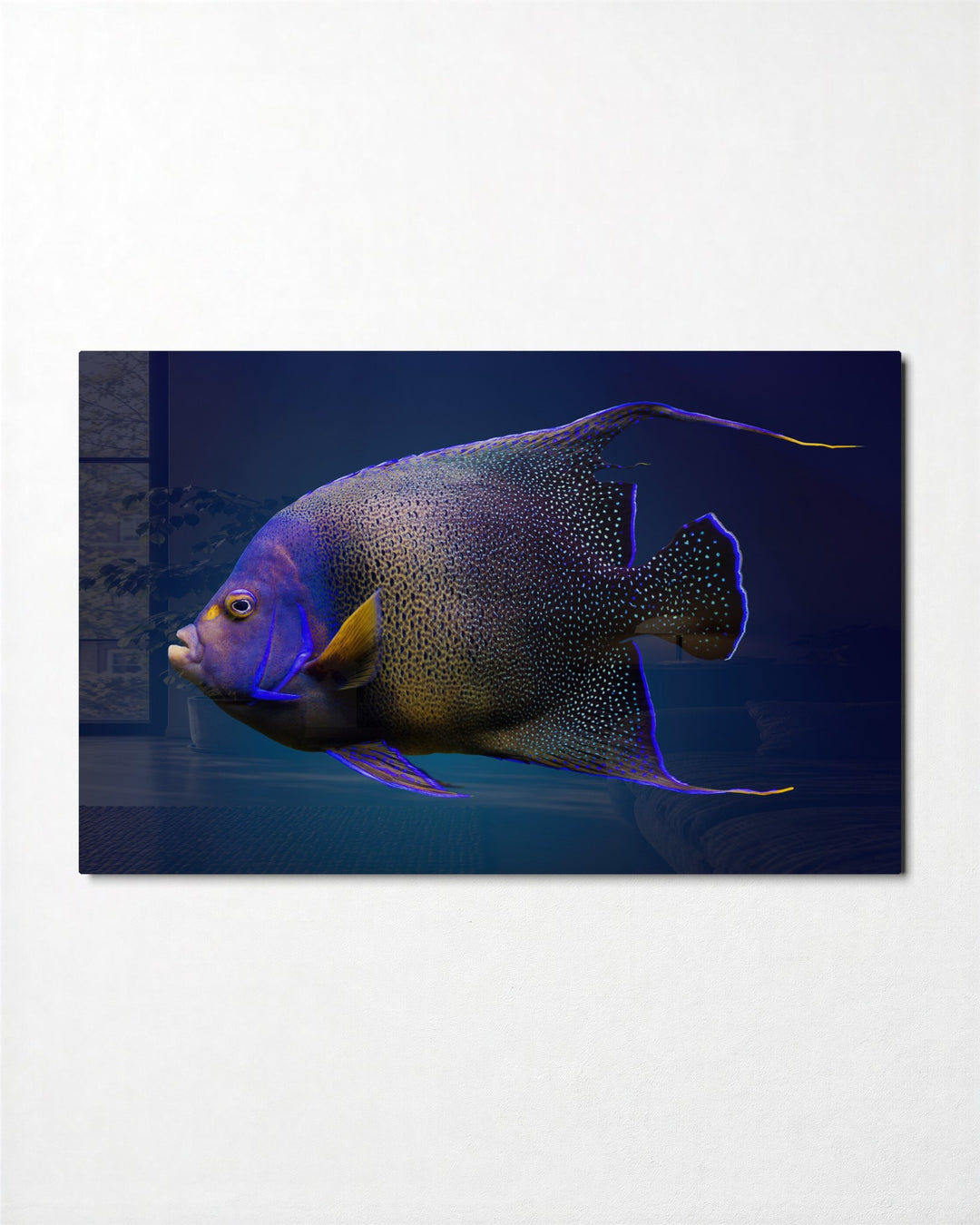Purple Angelfish glass wall art, front view