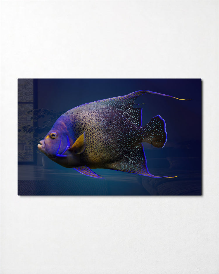 Purple Angelfish glass wall art, front view