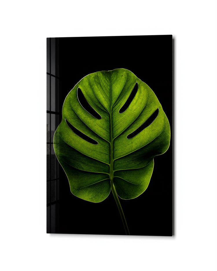 Leaf, Enlarged glass wall art, studio view