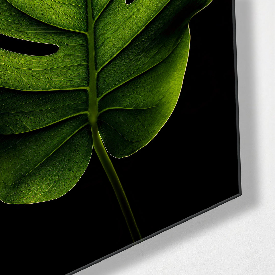 Leaf, Enlarged glass wall art, corner view