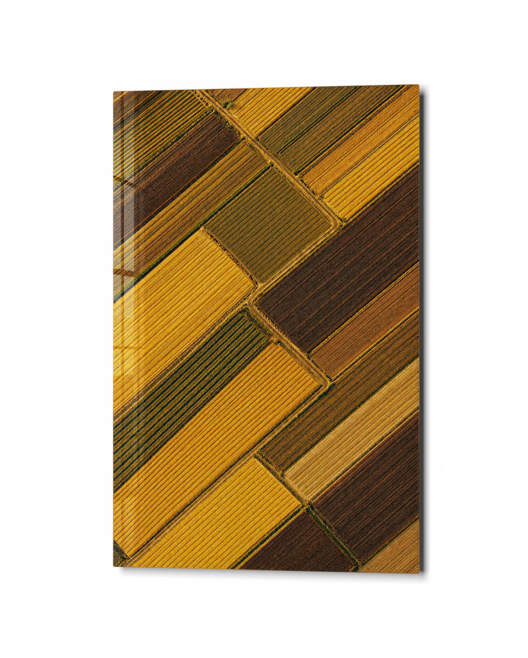 Striped Farmland glass wall art, studio view