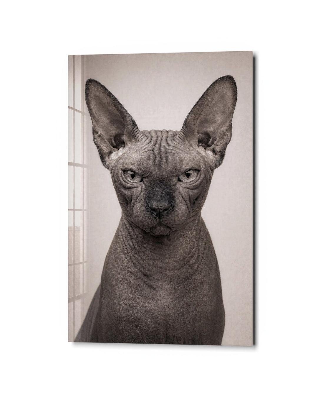 Hairless Verdict glass wall art, studio view