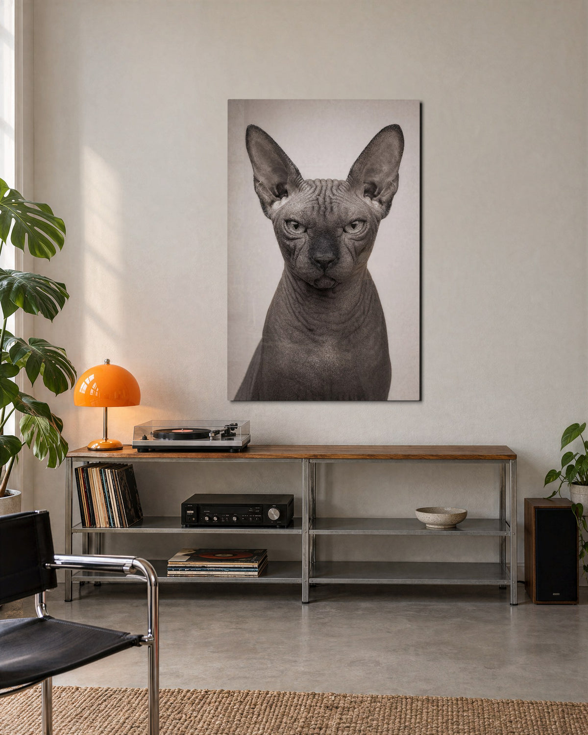 Hairless Verdict glass wall art, lifestyle view