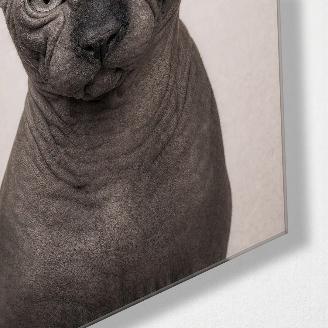 Hairless Verdict glass wall art, corner view