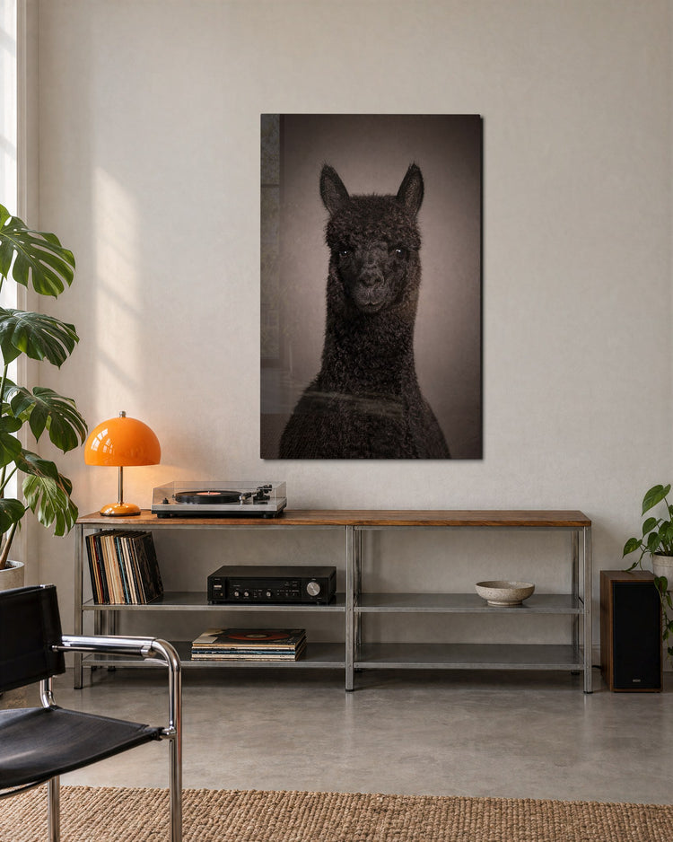 Alpaca Portrait glass wall art, lifestyle view