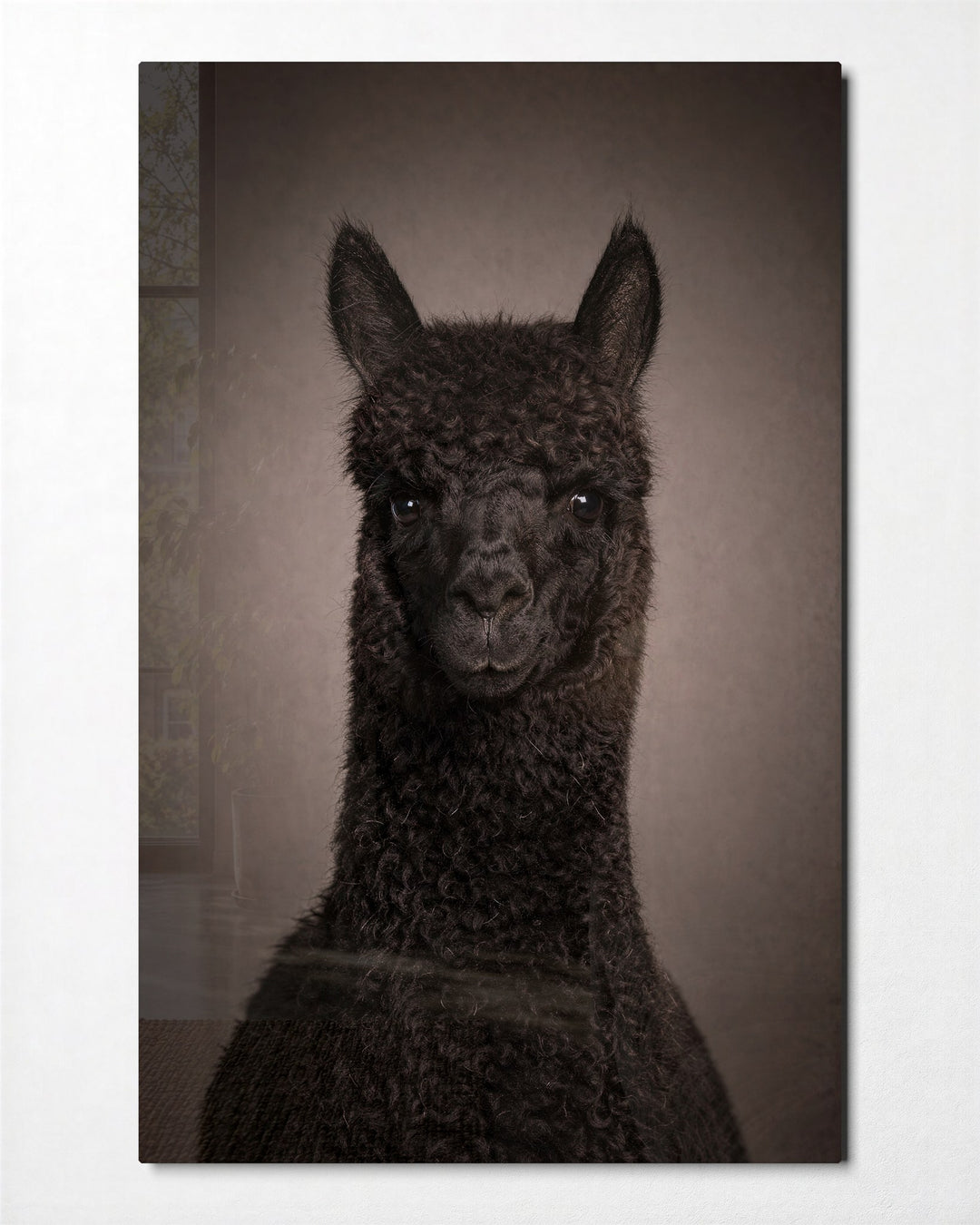 Alpaca Portrait glass wall art, front view