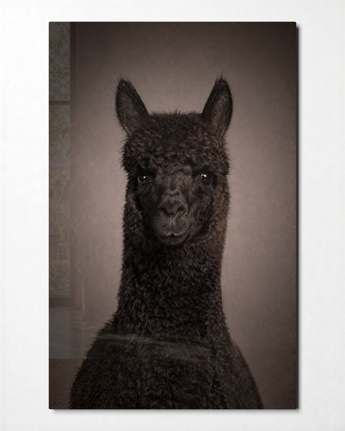 Alpaca Portrait glass wall art, front view