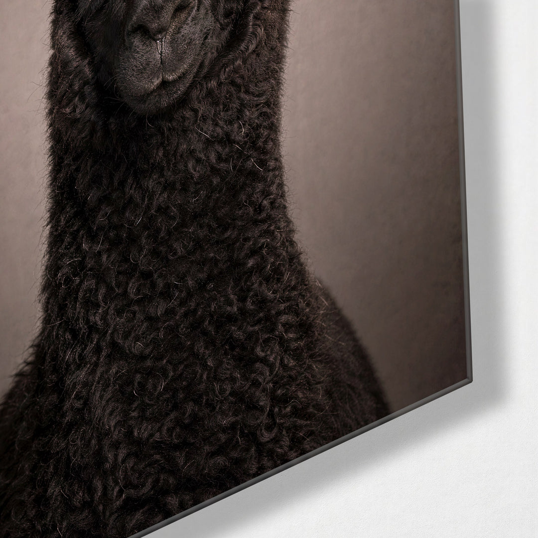 Alpaca Portrait glass wall art, corner view