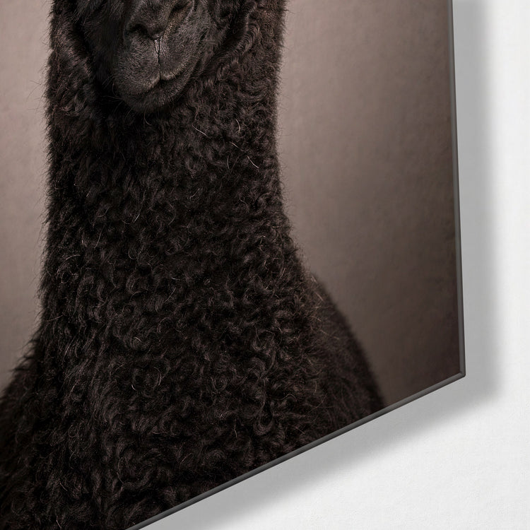 Alpaca Portrait glass wall art, corner view