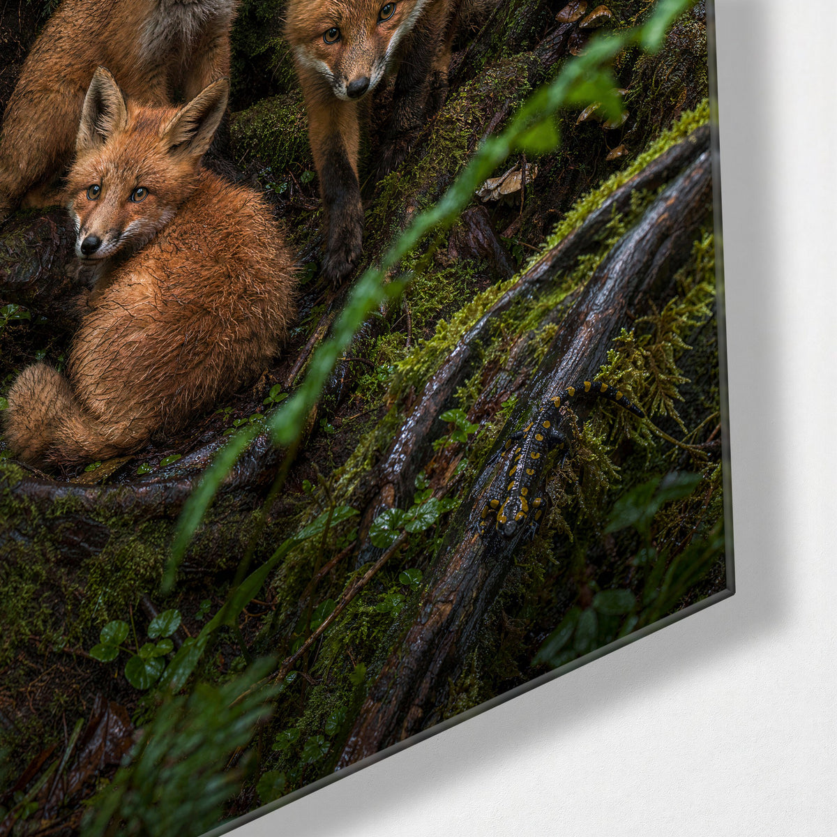 Fern Fox Trio glass wall art, corner view