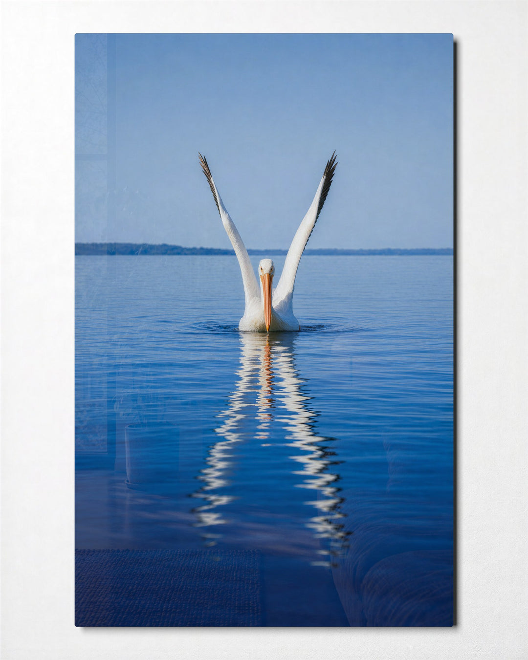 Pelican Mirror glass wall art, front view