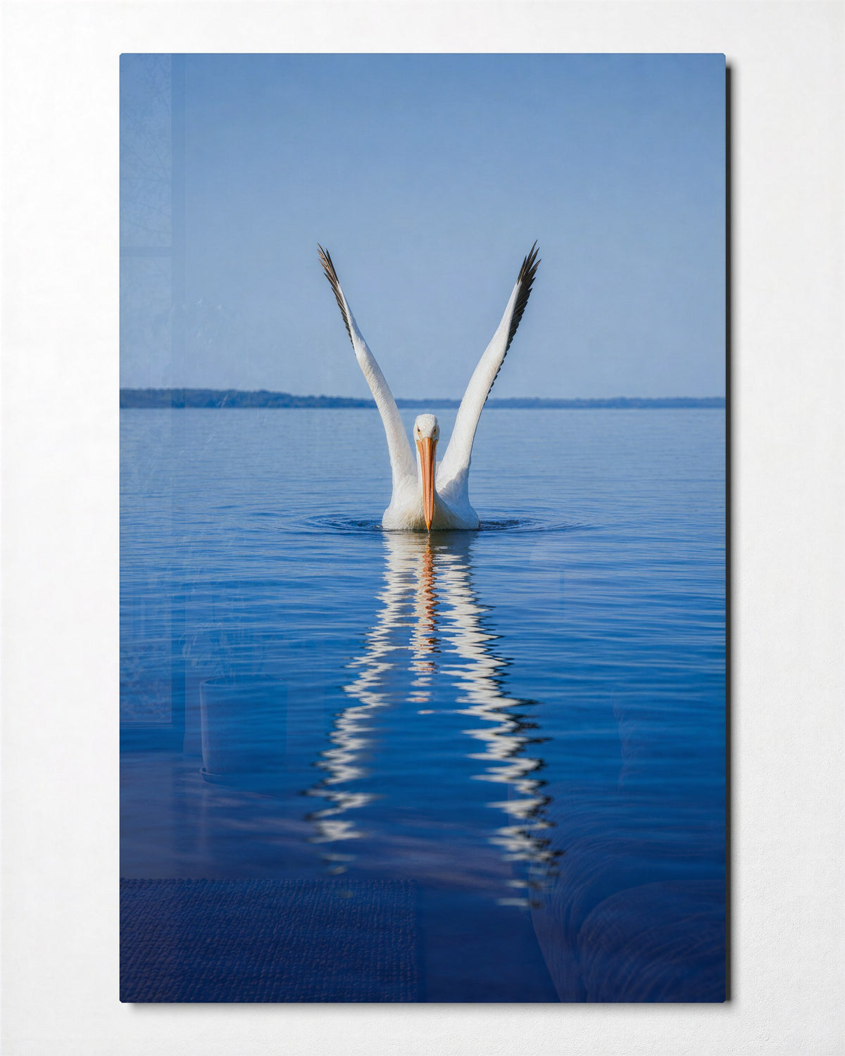 Pelican Mirror glass wall art, front view