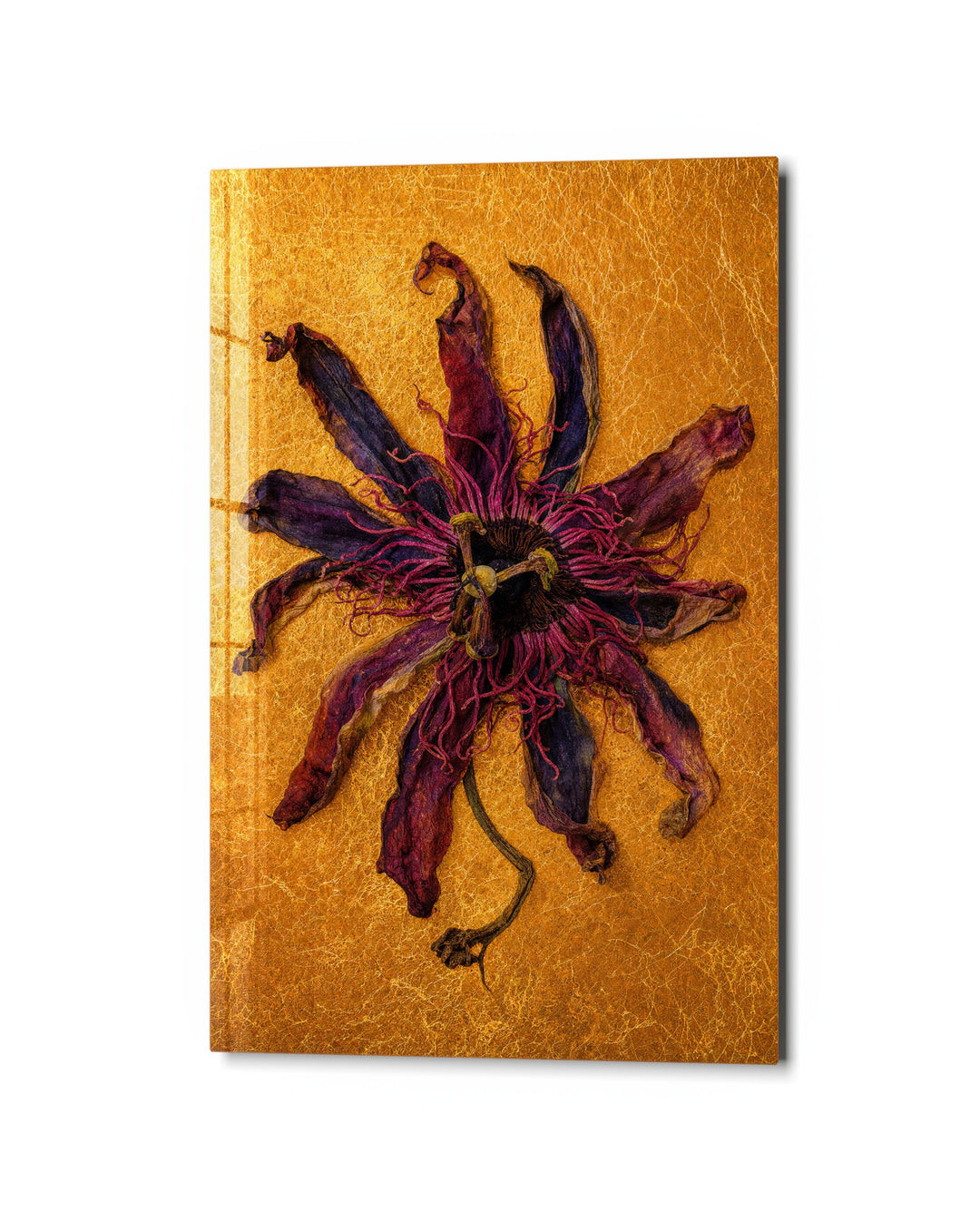 Wilted Gold glass wall art, studio view