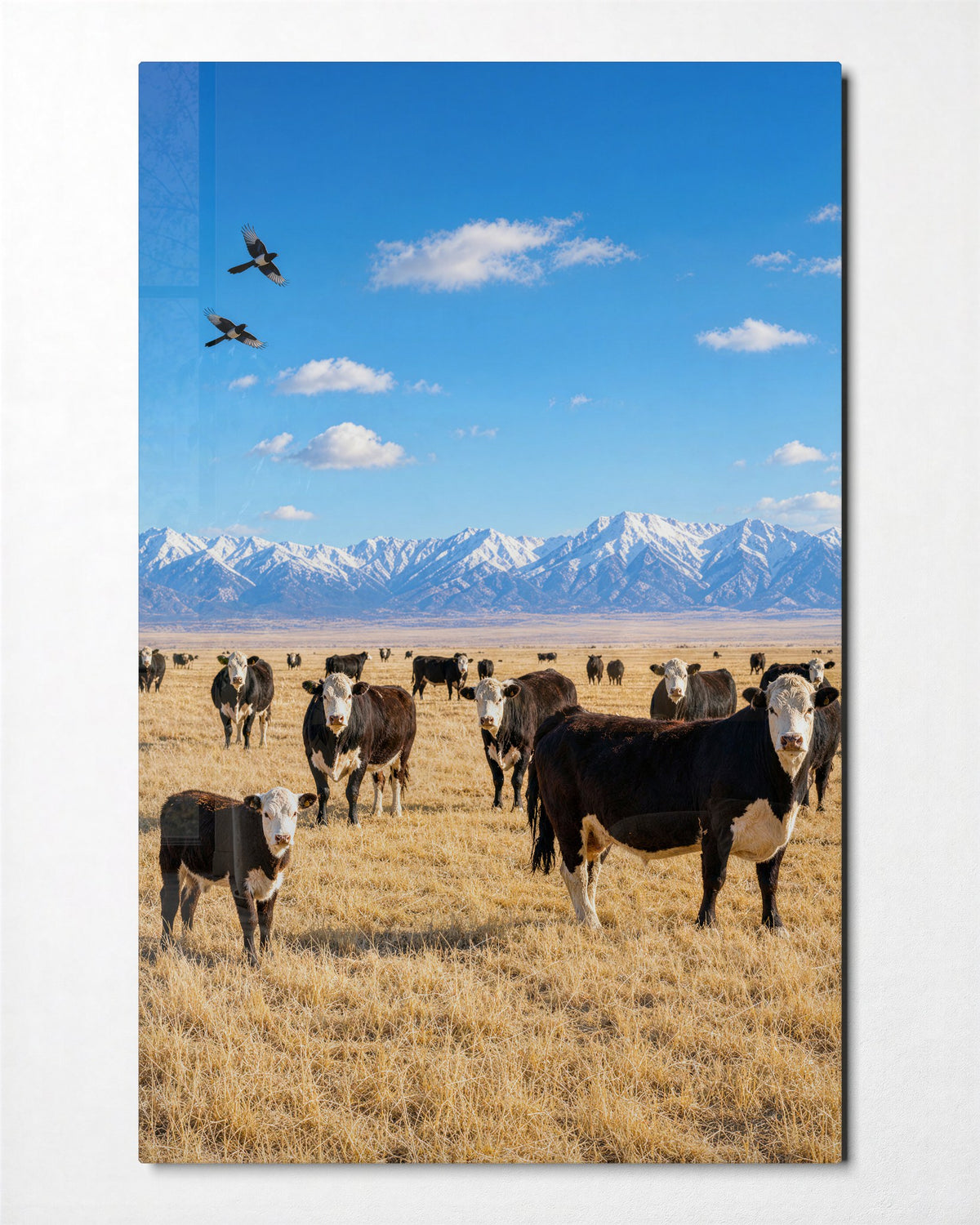 Herd at Rest glass wall art, front view