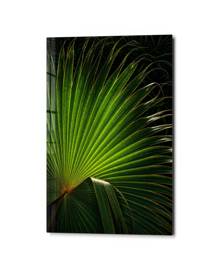 Leaf Rib Study glass wall art, studio view