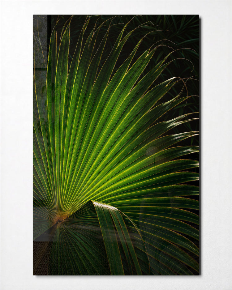 Leaf Rib Study glass wall art, front view