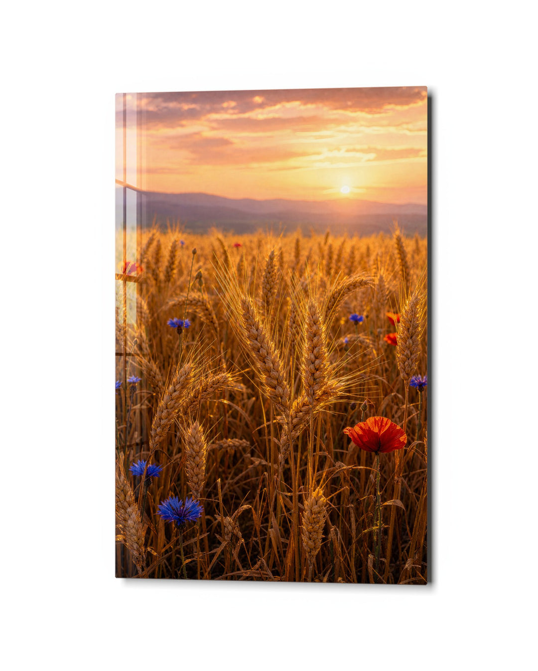 Poppy Hour glass wall art, studio view