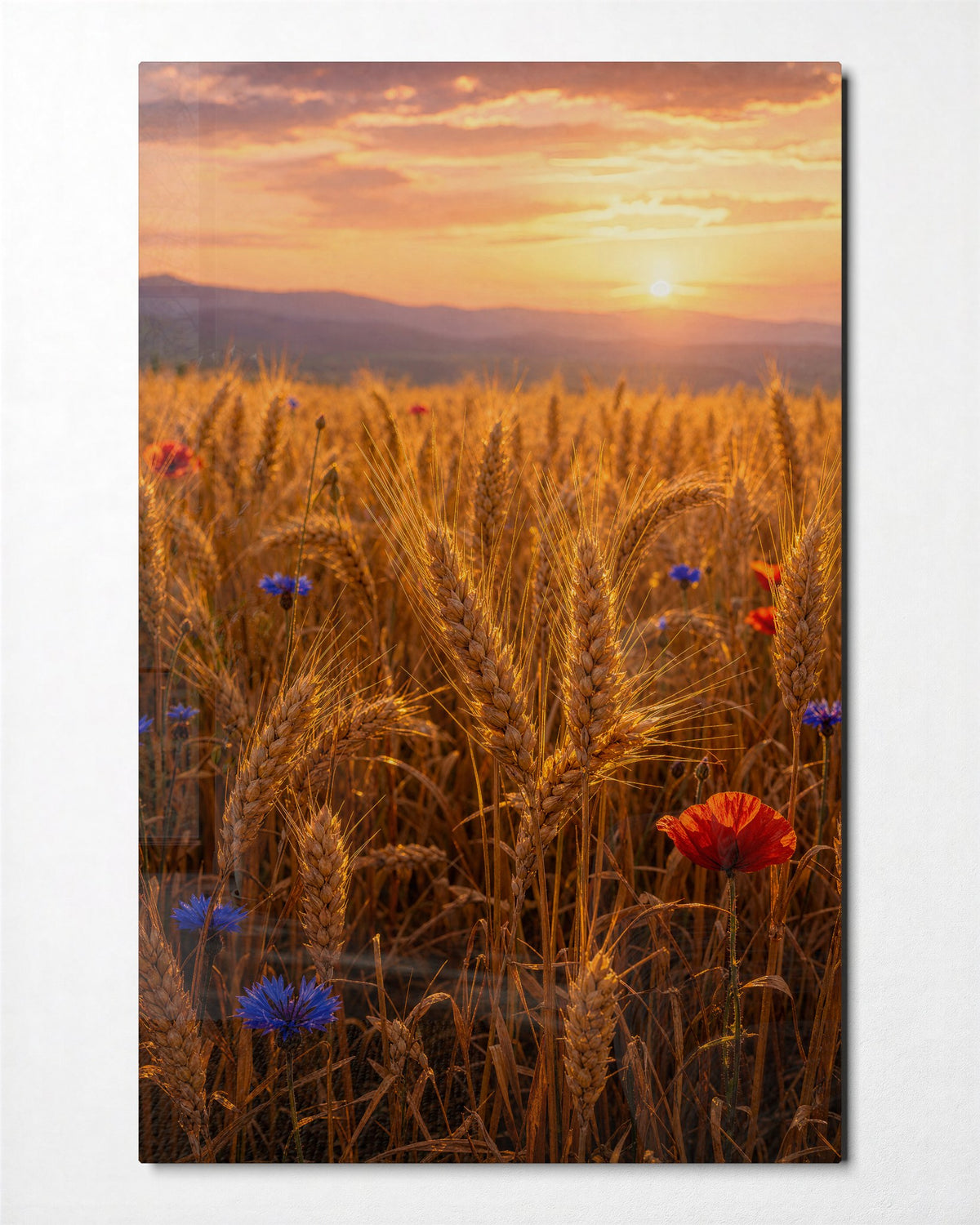 Poppy Hour glass wall art, front view