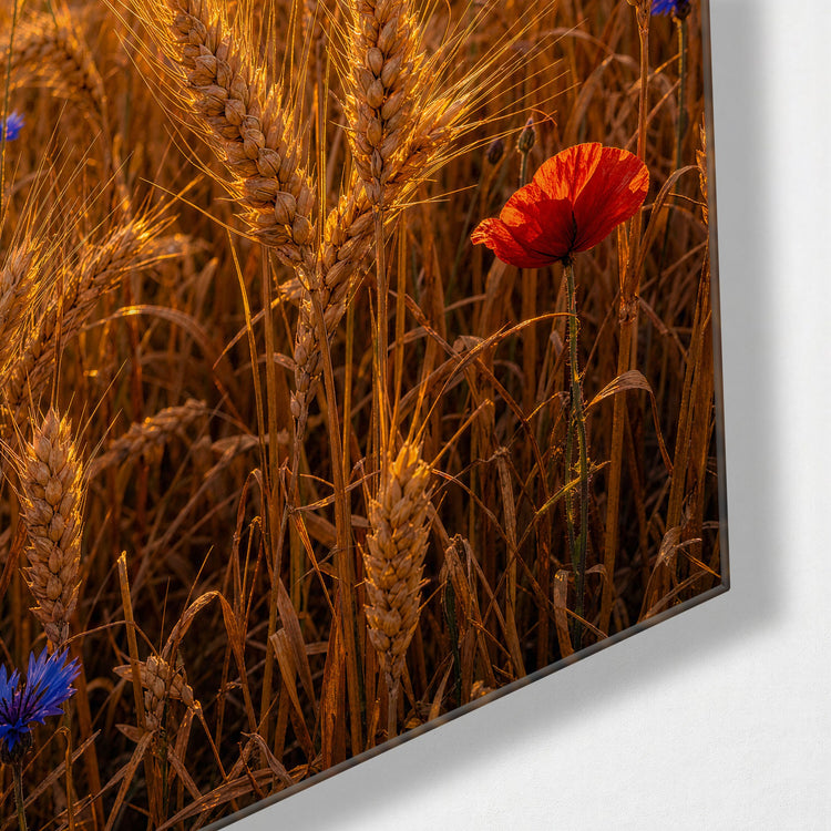 Poppy Hour glass wall art, corner view