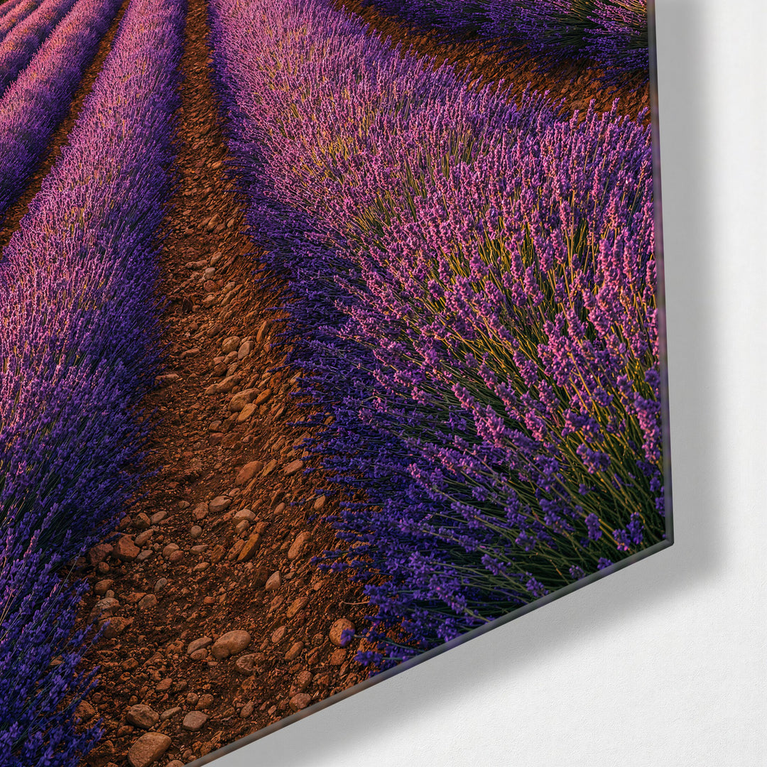 Purple Rows to Provence glass wall art, corner view