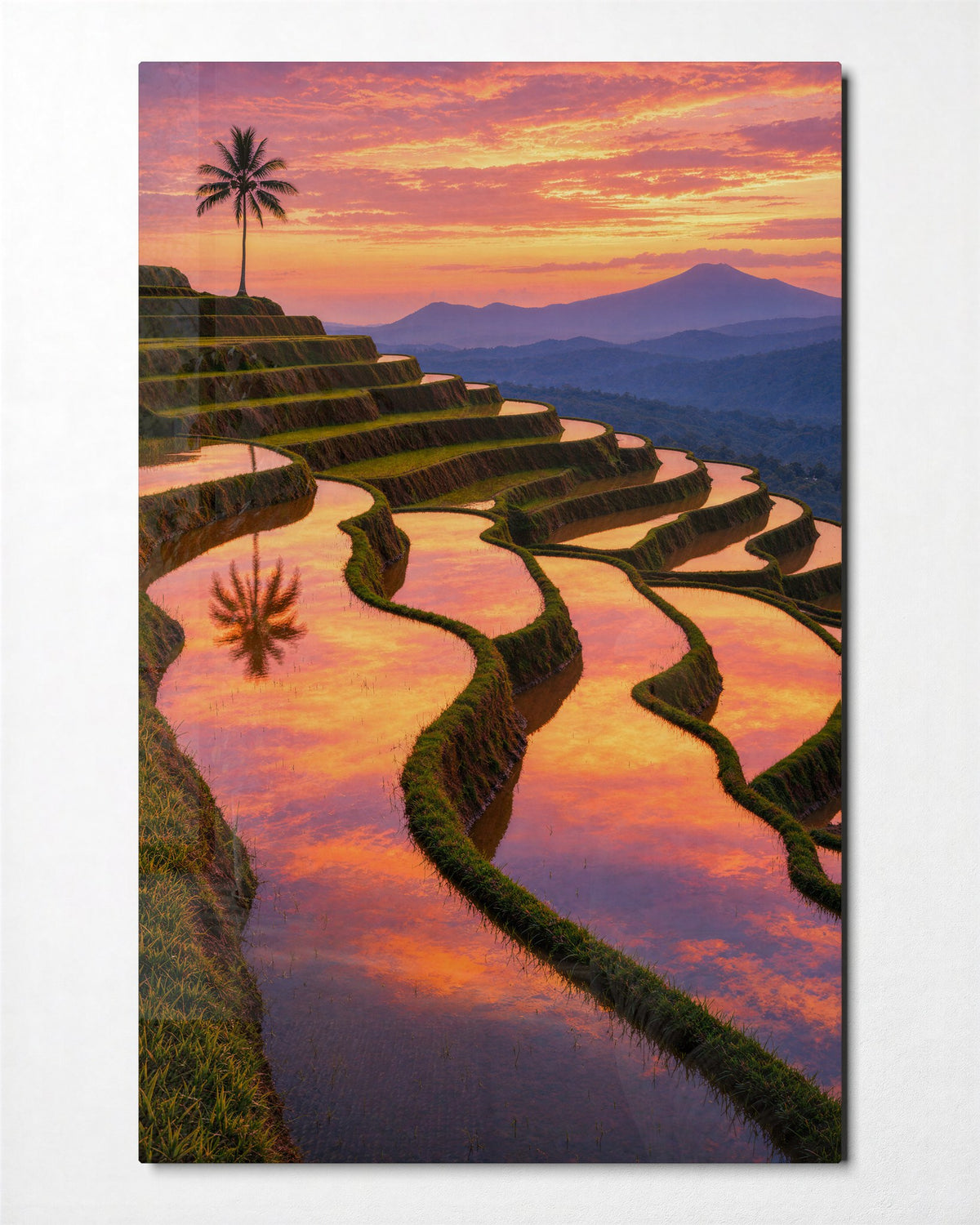 Lone Palm Terrace glass wall art, front view
