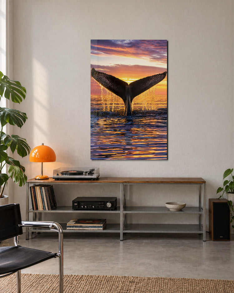 Fluke at Sunset glass wall art, lifestyle view
