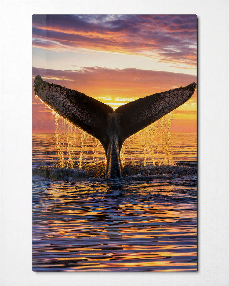 Fluke at Sunset glass wall art, front view