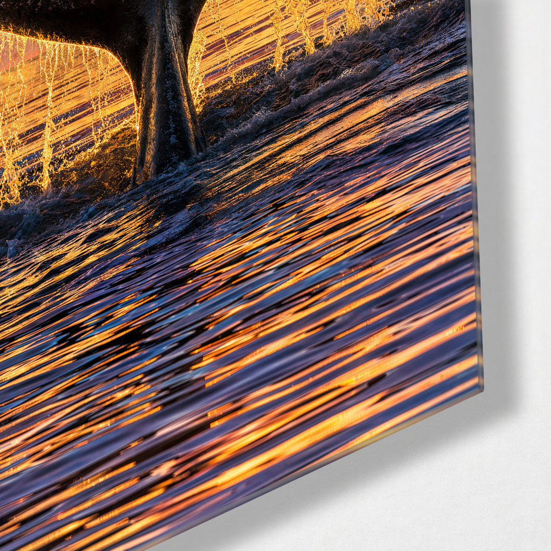 Fluke at Sunset glass wall art, corner view
