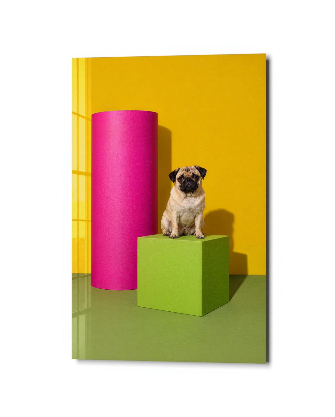 Unimpressed on a Cube glass wall art, studio view