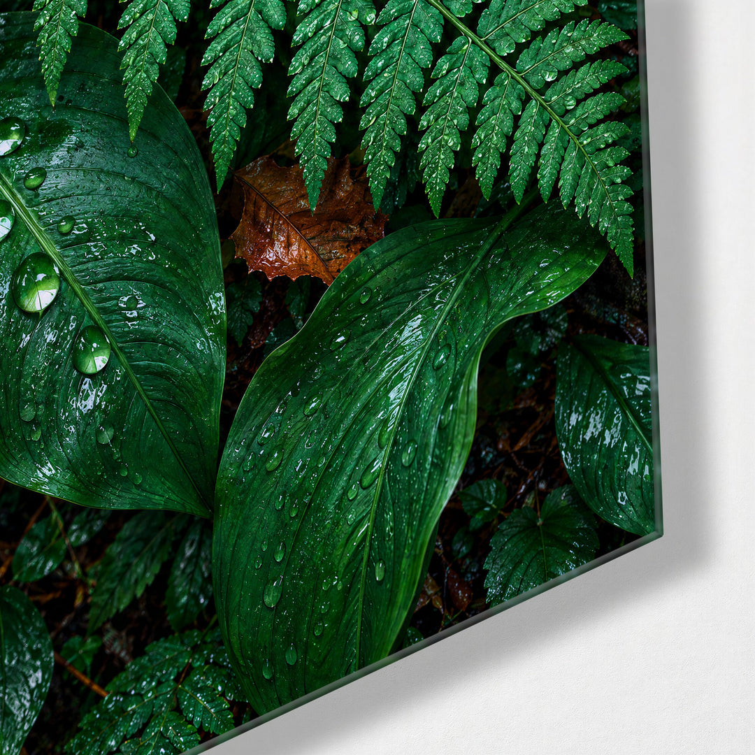 Ferns, Freshly Rinsed glass wall art, corner view