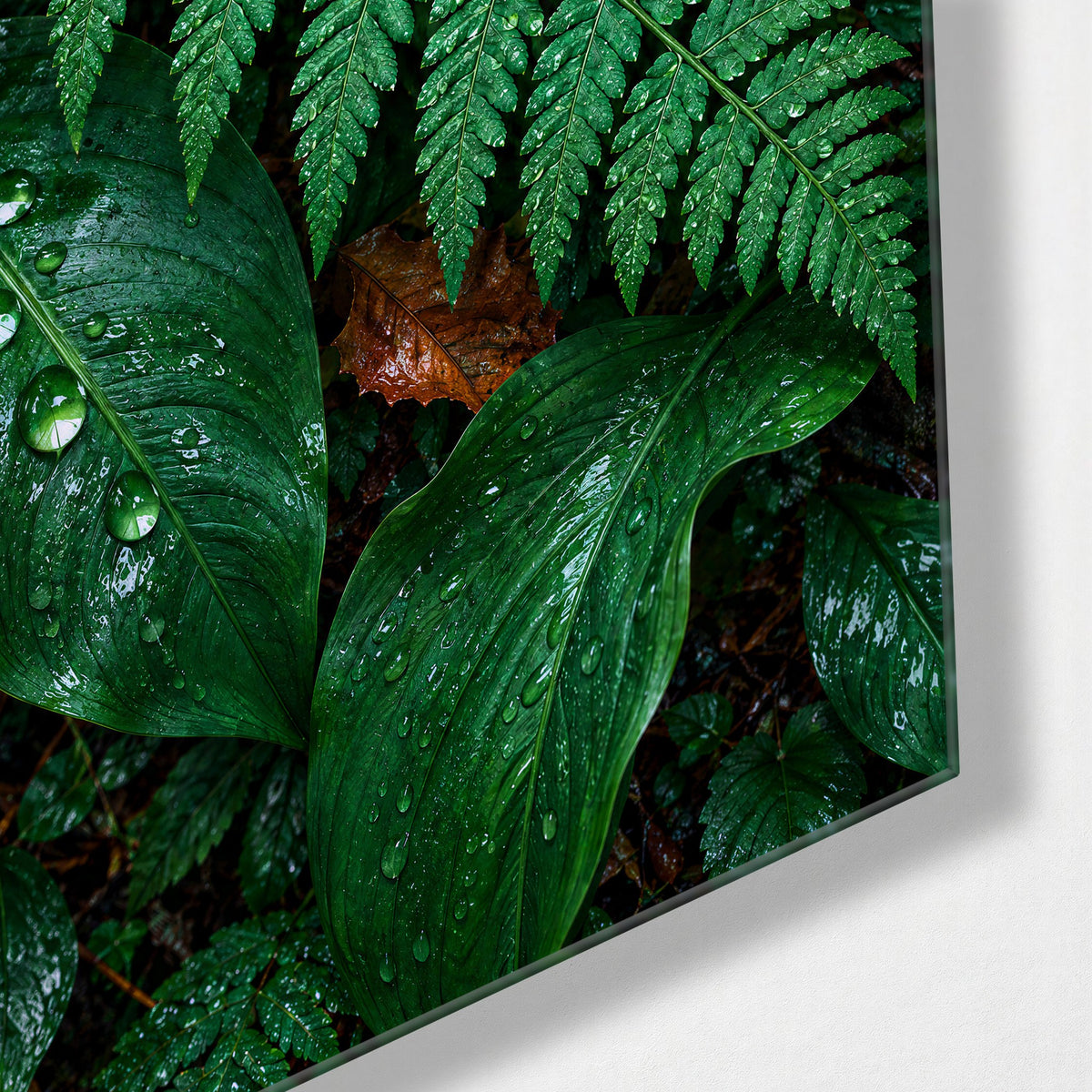 Ferns, Freshly Rinsed glass wall art, corner view