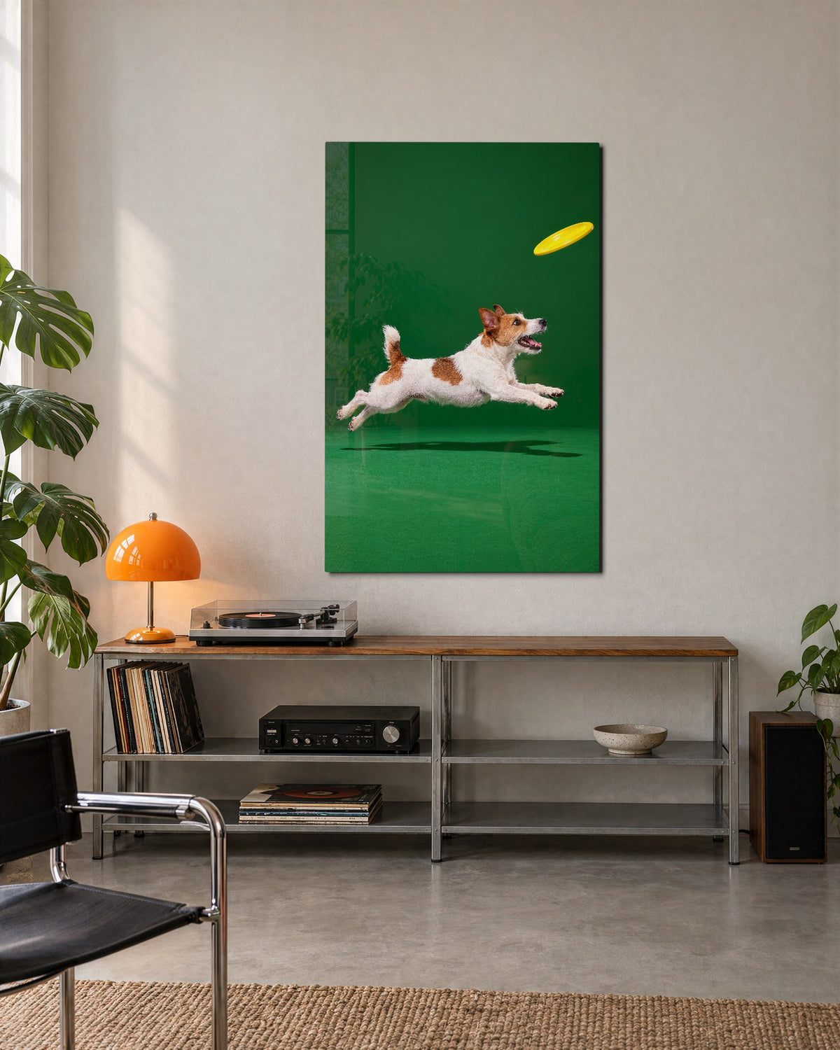 Midair, Four Paws Out glass wall art, lifestyle view