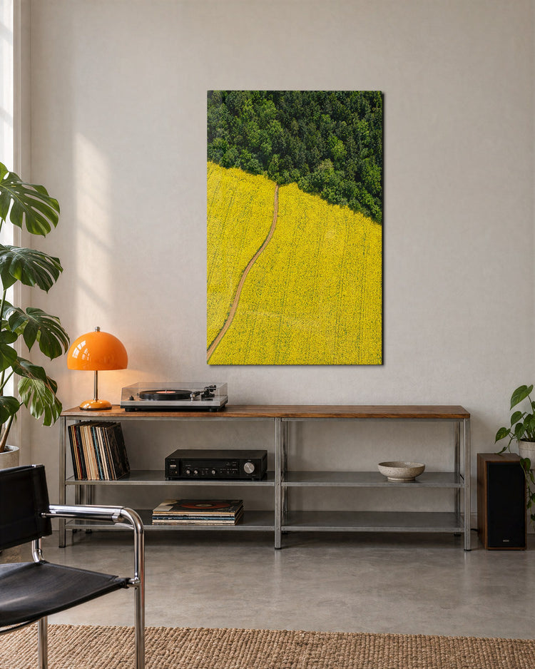 Where the Woods Begin glass wall art, lifestyle view