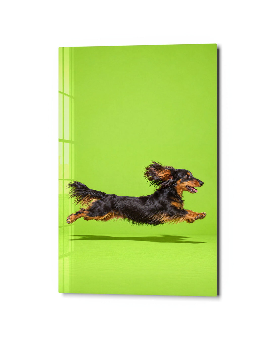 Long Dog, Long Leap glass wall art, studio view