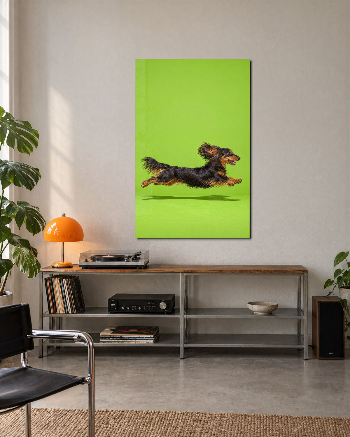 Long Dog, Long Leap glass wall art, lifestyle view
