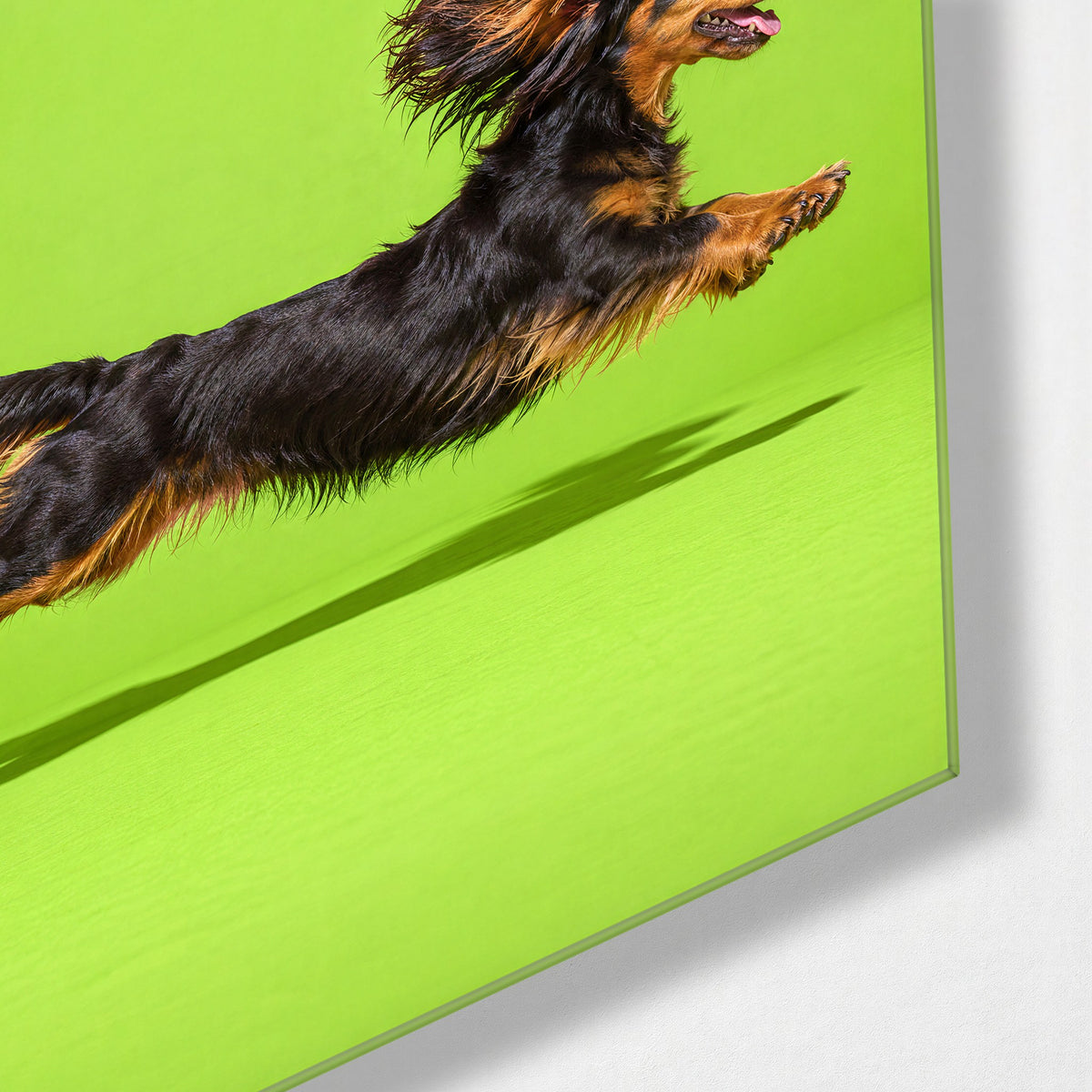 Long Dog, Long Leap glass wall art, corner view
