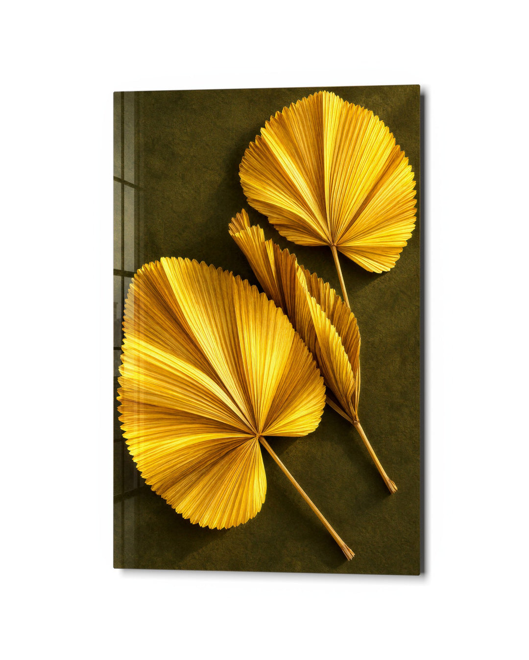 Fans of Gold glass wall art, studio view