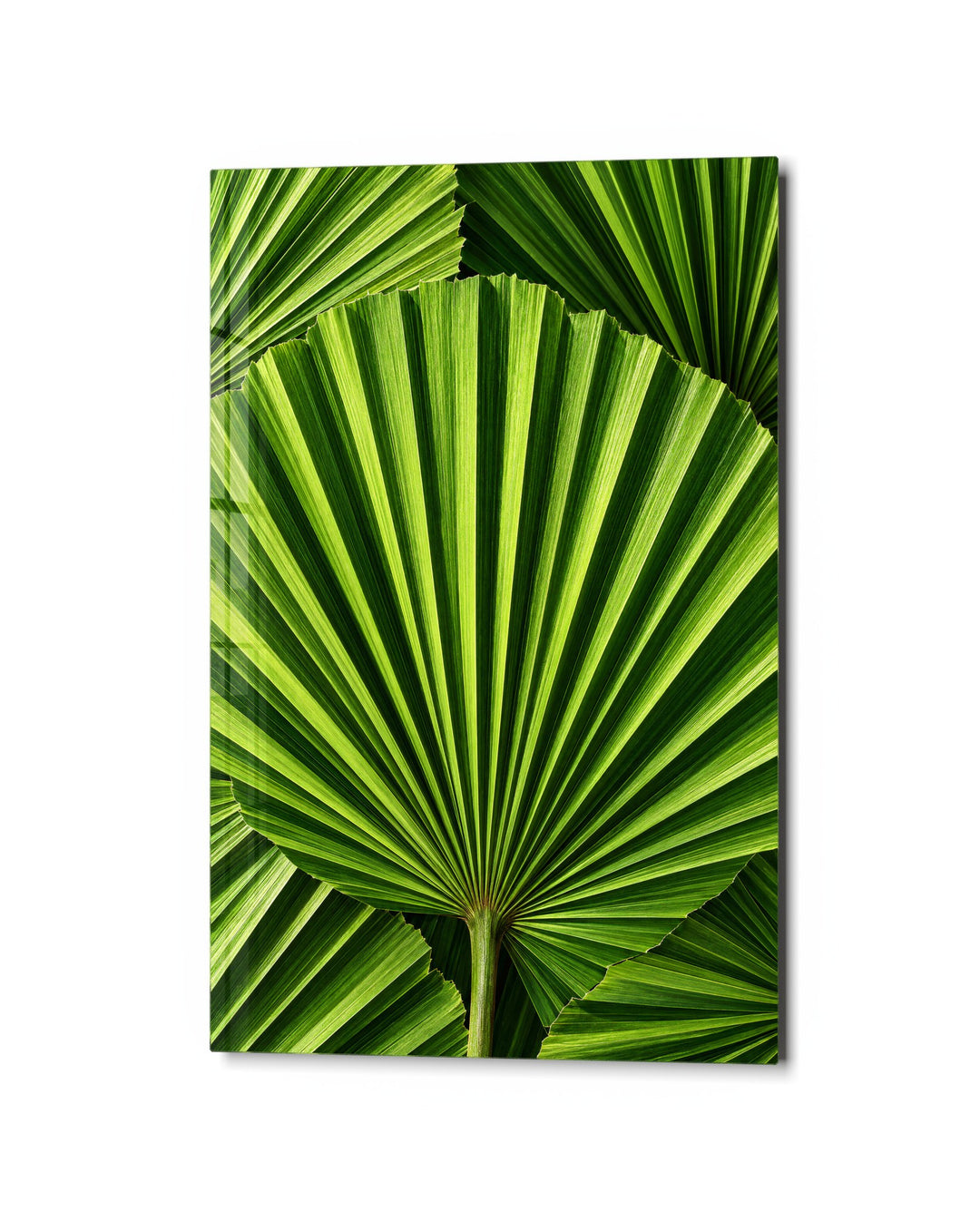 Pleated Foliage glass wall art, studio view