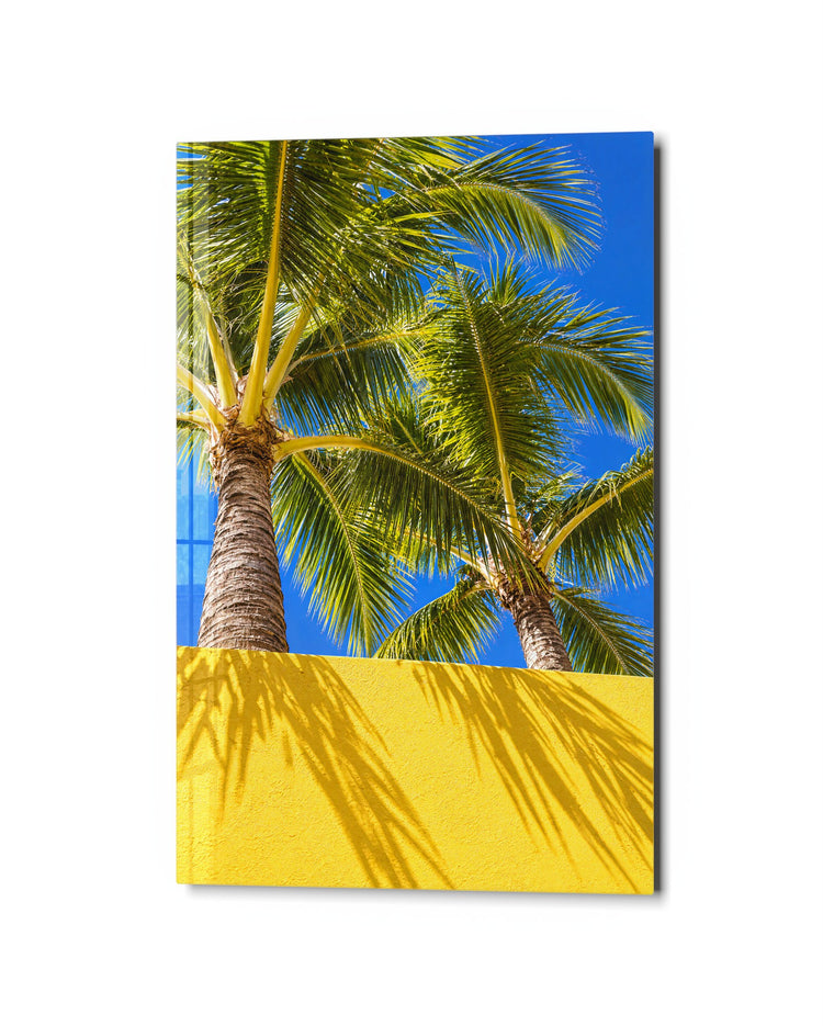 Tall Trees, Flat Wall glass wall art, studio view