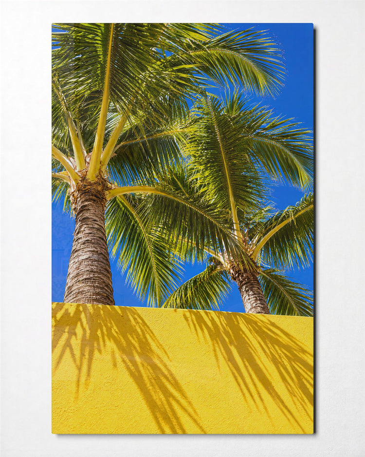 Tall Trees, Flat Wall glass wall art, front view