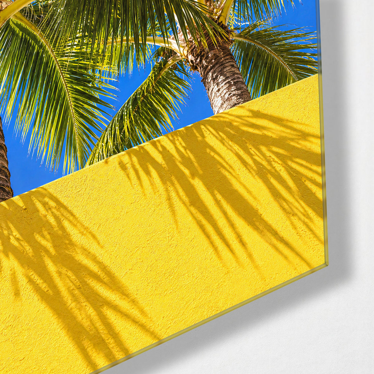 Tall Trees, Flat Wall glass wall art, corner view