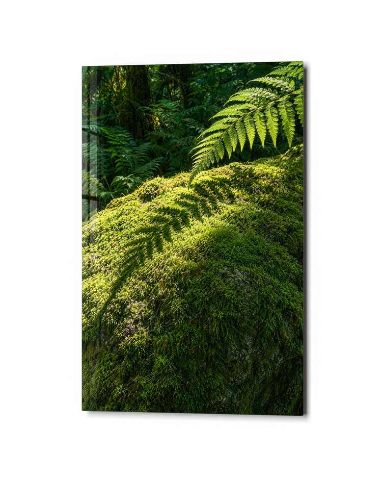 Woodland Floor glass wall art, studio view