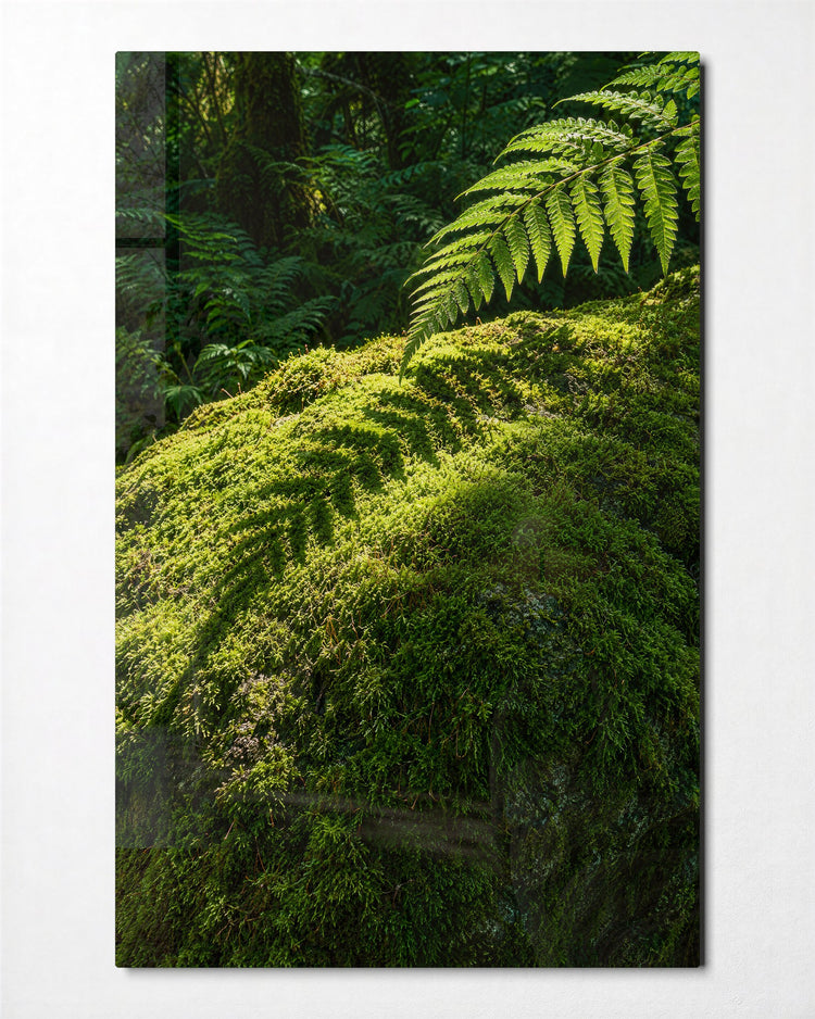 Woodland Floor glass wall art, front view