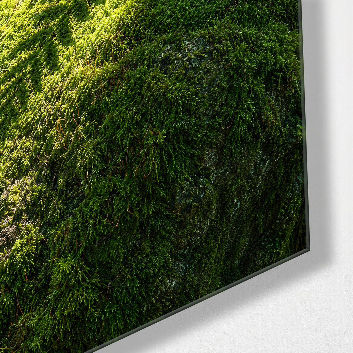 Woodland Floor glass wall art, corner view