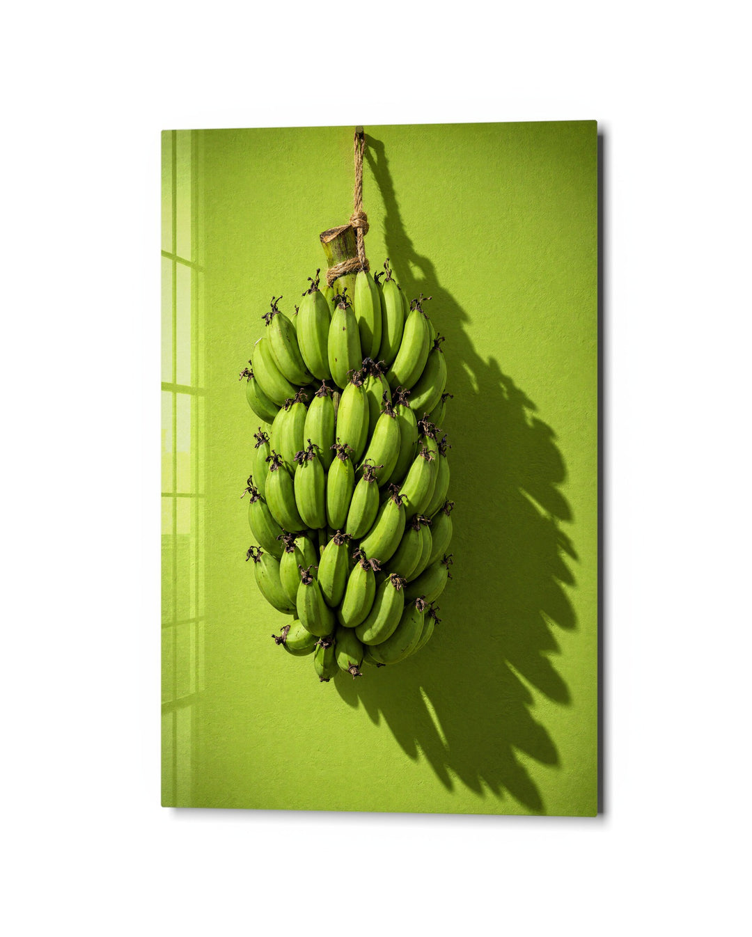 Monochrome Bananas glass wall art, studio view