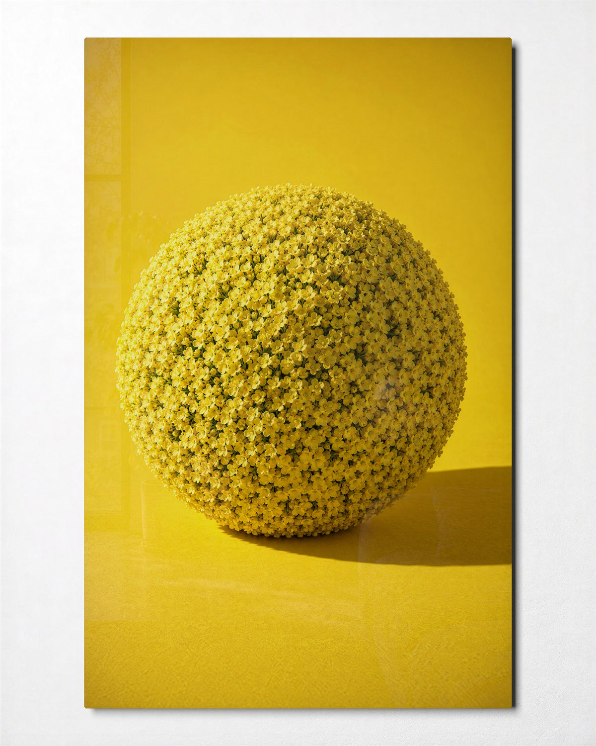 Planet of Buttercups glass wall art, front view
