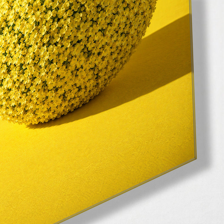Planet of Buttercups glass wall art, corner view